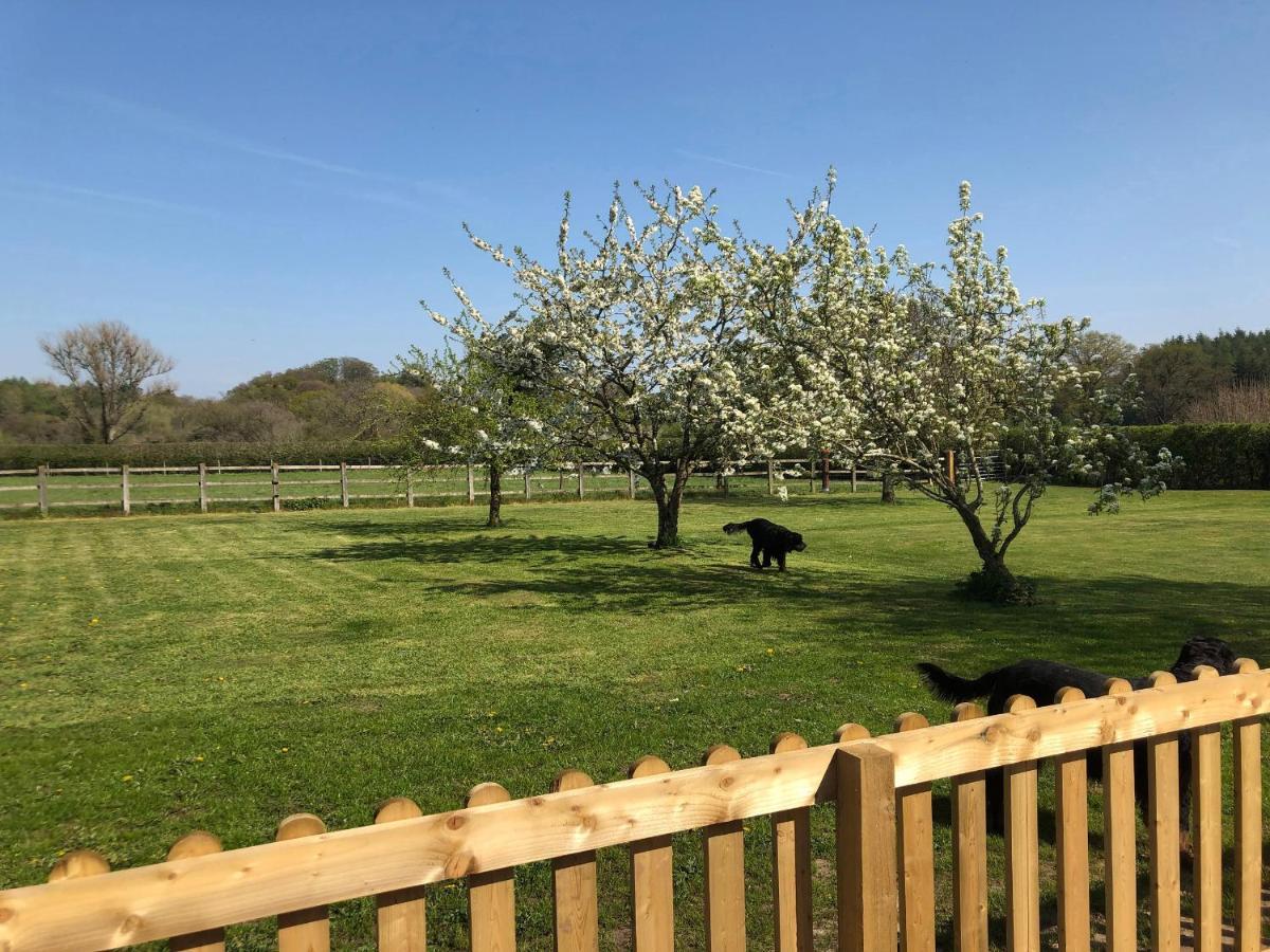2 Barn Cottages Whitchurch  Luaran gambar